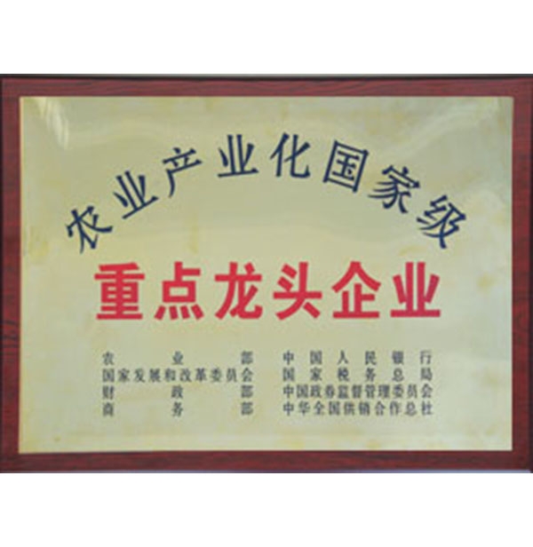 農業產（chǎn）業化國際級重（chóng）點龍頭企業